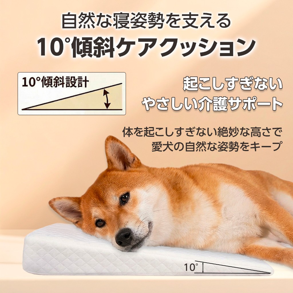 10°傾斜ケアクッション