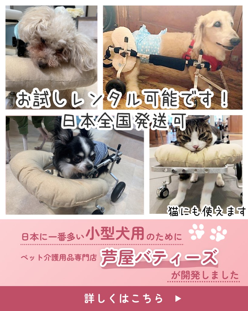 てくてくB・犬用車椅子のレンタル案内