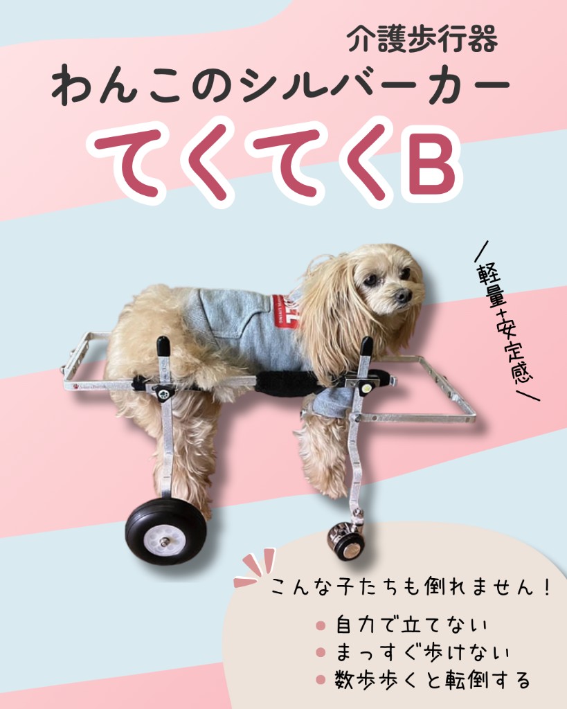 てくてくB 介護歩行器を装着した犬